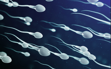 Hướng dẫn cách lấy tinh trùng để thụ tinh nhân tạo chuẩn nhất